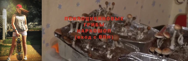 соль курить ск Новокубанск