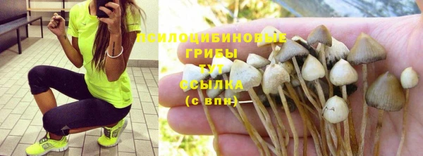 экстази Новозыбков